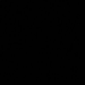 Meet your Posher, Raul